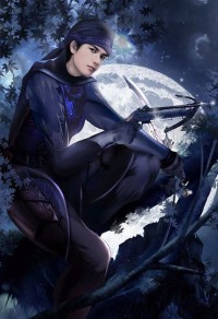 Something still(獵人同人又名新流星年華)